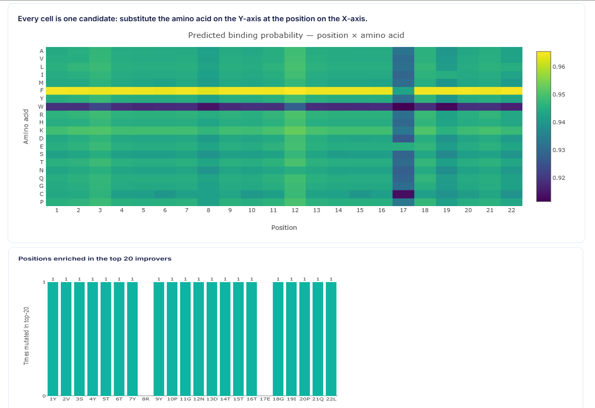 Transformer result page showing a position-by-amino-acid binding heatmap, top-20 enriched positions and the ranked candidate table