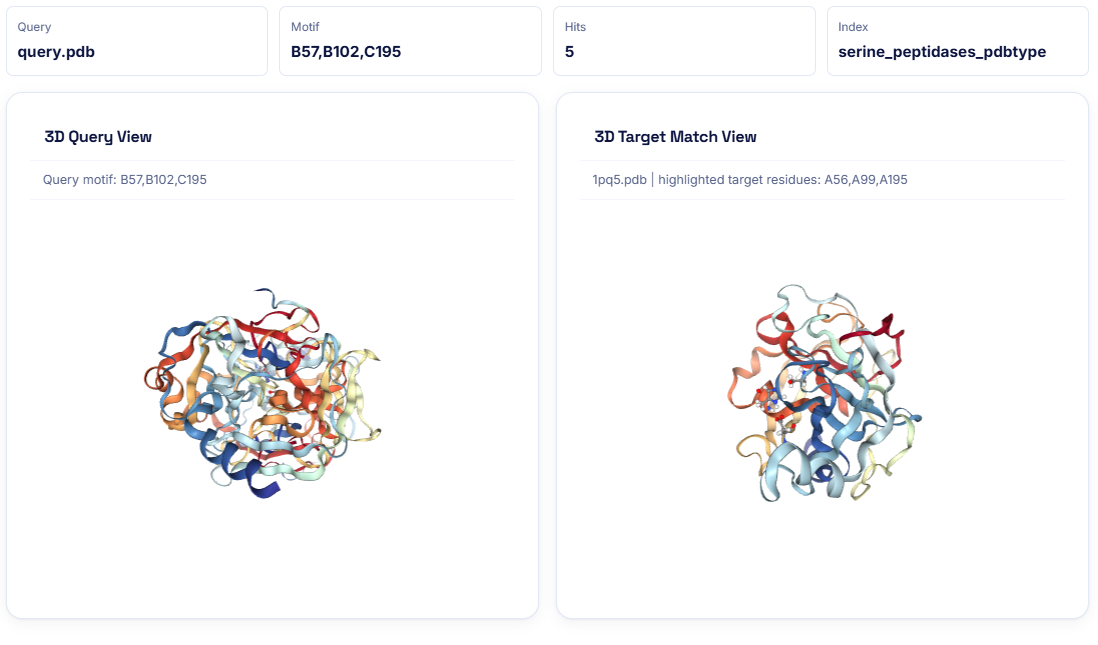 FoldDisco query and target protein structures with ranked structural matches