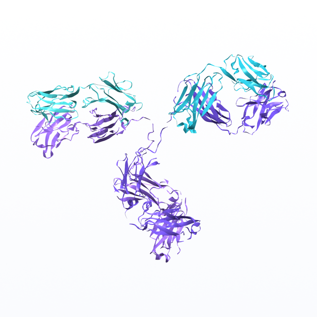 Antibody workflow showing annotation, modeling, binding and developability profiling